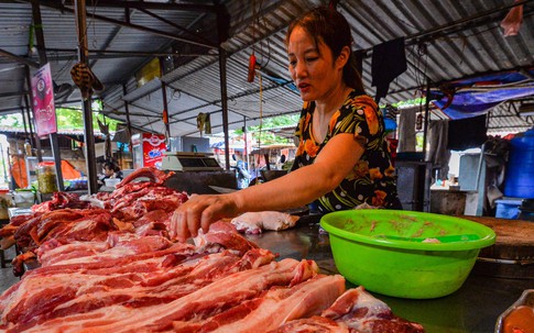 Giá thịt lợn hơi lại ‘chạm đáy’, người chăn nuôi thua lỗ