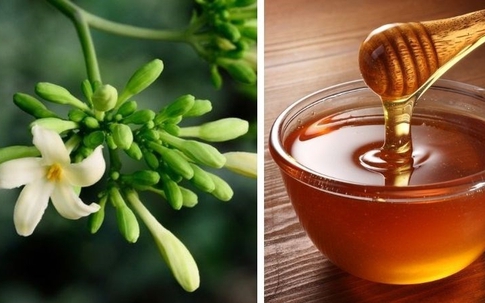 Hoa đu đủ đực ngâm mật ong, dùng theo cách này còn tốt hơn thuốc bổ