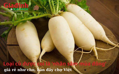 Loại củ được coi là ‘nhân sâm mùa đông’, giá rẻ như cho, bán đầy chợ Việt