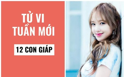 Tử vi tuần mới 12 con giáp từ 6/11 - 12/11/2023: 4 con giáp đắc lộc kinh doanh, đầu tư đâu thắng đó