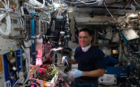 Tìm thấy quả cà chua 'mất tích' suốt 8 tháng trên trạm vũ trụ ISS
