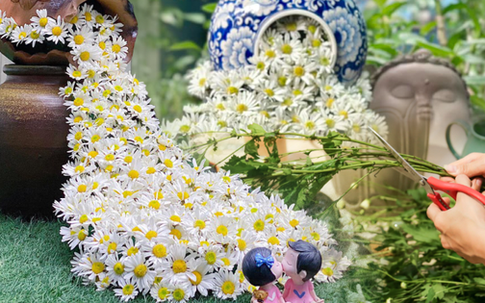 'Hoa báo Đông' dập dìu xuống phố, hội chị em có ngay trào lưu cắm hoa mới, tàn rồi vẫn 'chơi' được tiếp