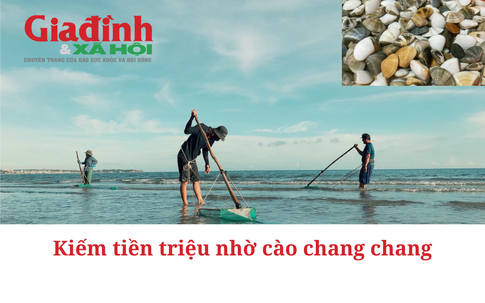 Kinh ngạc ngư dân cào chang chang kiếm tiền triệu mỗi ngày