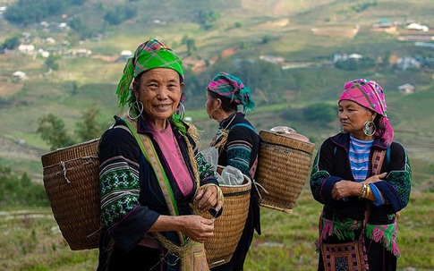 Tọa đàm trực tuyến: "Chung tay chăm sóc sức khỏe người cao tuổi vùng cao"