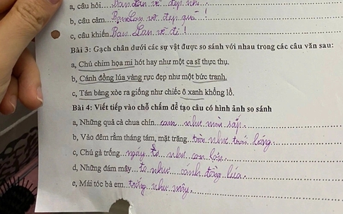 "Con gà gáy to như con lợn": Những phiếu ôn tập học kỳ khiến bố mẹ đau đầu