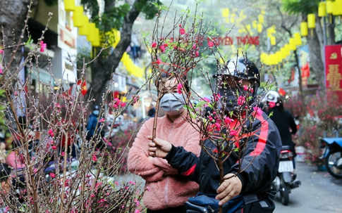 Hà Nội tổ chức 83 điểm chợ hoa Xuân phục vụ người dân dịp Tết Nguyên đán Giáp Thìn 2024