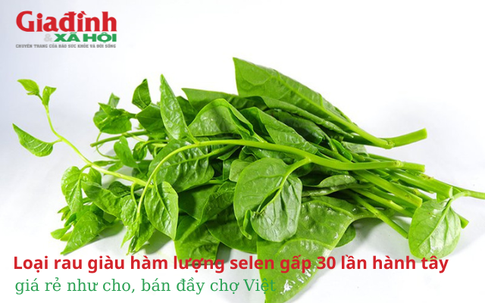 Loại rau giàu hàm lượng selen gấp 30 lần hành tây, giá rẻ như cho, bán đầy chợ Việt