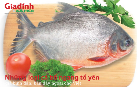 Những loại cá bổ ngang tổ yến, giá bình dân, bán đầy ngoại chợ Việt