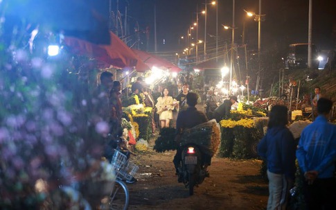 Ngày Valentine: Giá hoa tăng 4 lần, chợ hoa Quảng Bá nhộn nhịp xuyên đêm