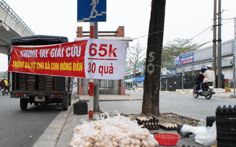 Sự thật đằng sau chiêu ‘giải cứu’ trứng gà giá siêu rẻ bán tràn lan vỉa hè Hà Nội