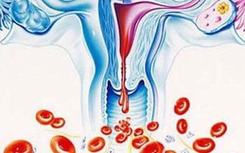 Rong kinh có gây thiếu máu không?