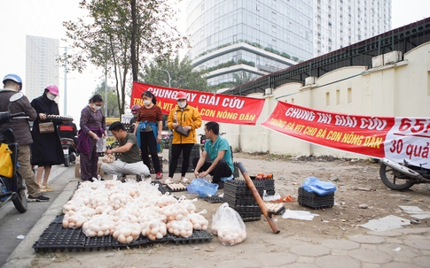 Vì sao đề nghị không nên mua trứng gà "giải cứu"?