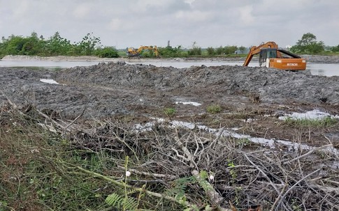 Video: Hiện trường diện tích lớn rừng ngập mặn ở Thừa Thiên Huế bị san lấp 'do sơ suất'