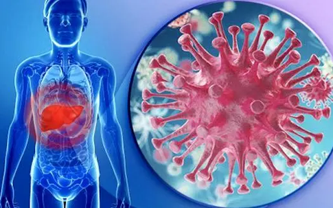 4 thói quen khiến gan sớm bị tổn thương, rút ngắn tuổi thọ của bạn