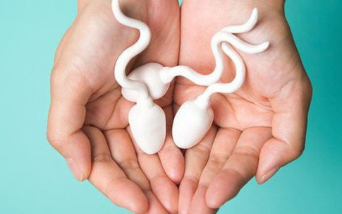 Số lượng tinh trùng có quyết định đến khả năng sinh con của cặp đôi?