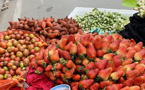 Hà Nội: Hoa quả đặc sản tưởng rẻ hóa đắt, loại đắt giá lại rẻ không tưởng