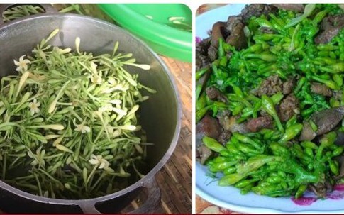 Hoa đu đủ đực xào có tác dụng gì?