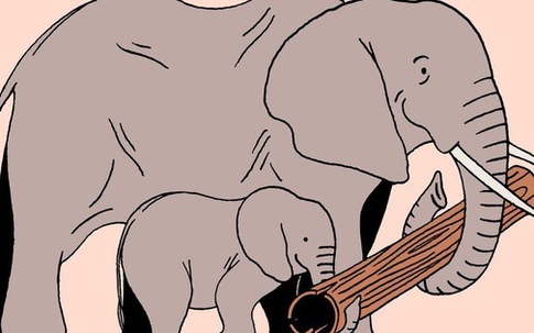 Sống thiếu kỷ luật và nề nếp sẽ khó thành tài: 3 điều cha mẹ nên dạy con ngay từ nhỏ, chắc chắn con sẽ trở thành người tài năng, tốt bụng