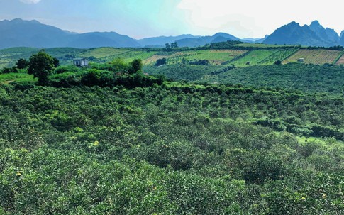 Đổ tiền tỷ ôm đất giá rẻ chờ chuyển đổi có lãi dày, ‘bỏng tay’ rút củi không kịp