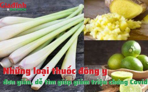 Những loại thuốc đông y dễ tìm giúp giảm triệu chứng Covid