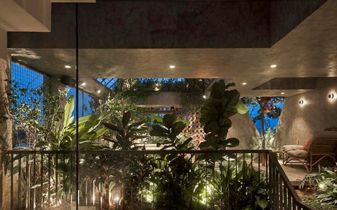 Ngôi nhà đưa cả 'khu rừng nhiệt đới' vào không gian sống