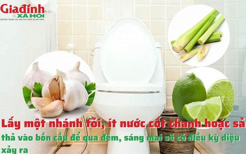 Lấy nhánh tỏi, nước cốt chanh hoặc sả thả vào bồn cầu để qua đêm, sáng mai điều kỳ diệu sẽ xảy ra