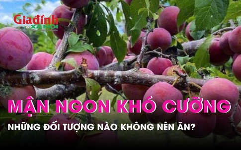 Mận chín bán khắp nơi ngon khó cưỡng nhưng nhóm người này tuyệt đối đừng ăn để tránh bệnh nặng thêm