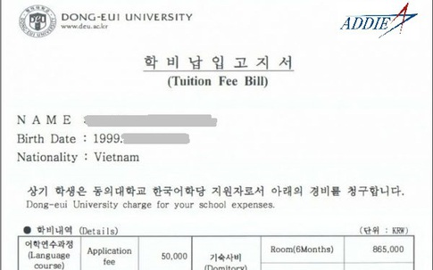 Bạn đã biết Invoice du học Hàn là gì hay chưa?