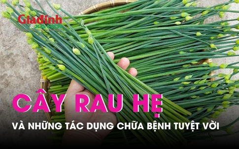 Tác dụng chữa bệnh tuyệt vời của rau hẹ