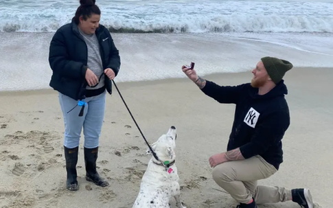 Cô gái bất ngờ trước màn cầu hôn với sự góp mặt của nhân vật đặc biệt