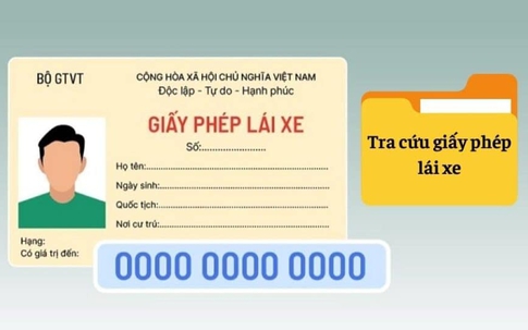 Hướng dẫn cách tra cứu giấy phép lái xe người dân cần biết để xem GPLX của mình thật hay giả