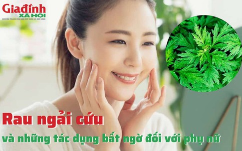 Rau ngải cứu và những tác dụng bất ngờ đối với phụ nữ