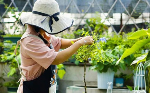 Khu vườn 20m² phủ kín hoa trên sân thượng của cô gái 9x