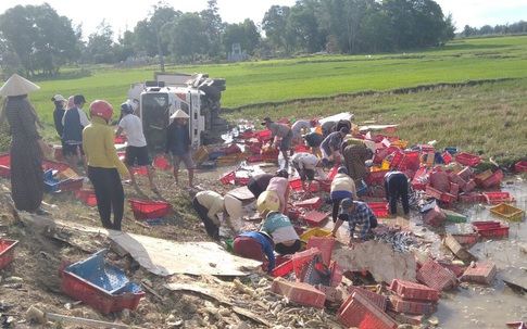 Người dân Quảng Trị xuống ruộng giúp tài xế thu gom cá do xe tải bị lật