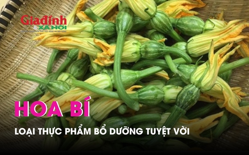 Hoa bí – loại thực phẩm bổ dưỡng tuyệt vời