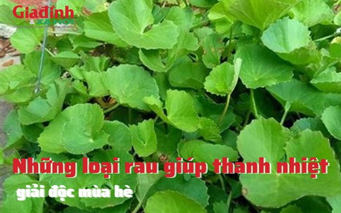 Những loại rau giúp thanh nhiệt, giải độc mùa hè