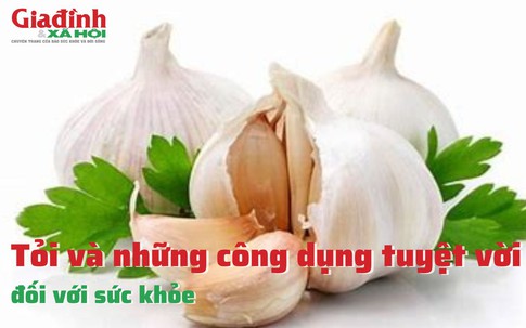 Tỏi và những công dụng tuyệt vời đối với sức khỏe