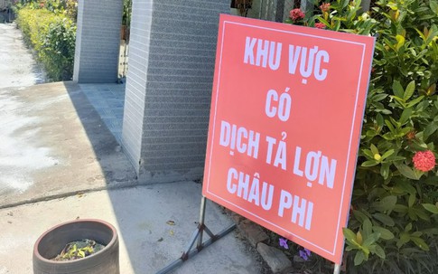 Hà Tĩnh ráo riết phòng chống dịch tả lợn châu Phi