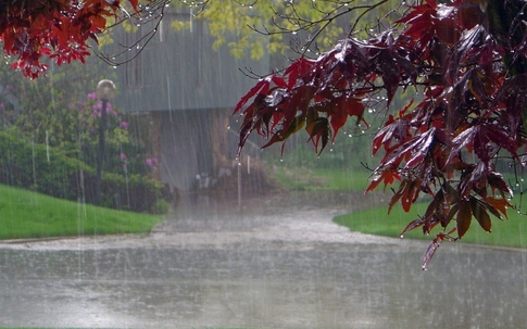 Dự báo thời tiết ngày mai 25/8: Điểm danh những nơi còn mưa to khu vực Bắc Bộ?