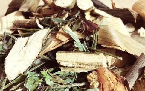 Uống thuốc nam sau khi bị chó cắn, bé gái 8 tuổi tử vong