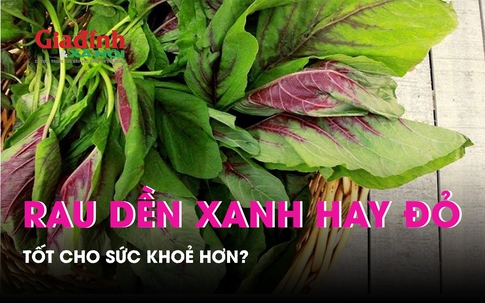 Rau dền xanh hay rau dền đỏ tốt cho sức khoẻ hơn?