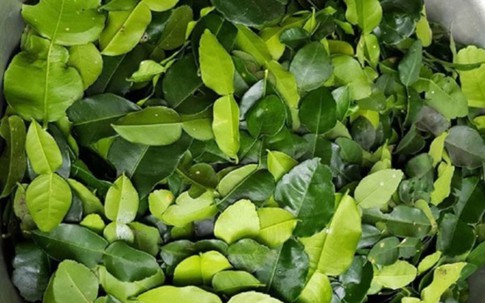 Loại lá rẻ bèo ở Việt Nam, sang nước ngoài giá đắt đỏ