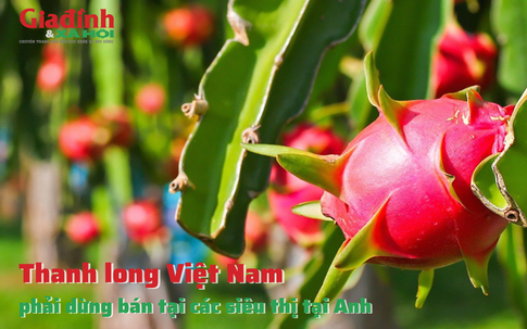 Thanh long Việt Nam phải dừng bán tại các siêu thị của Anh