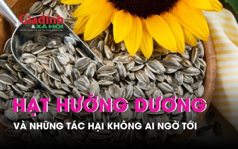 Tác hại không ai ngờ tới của hạt hướng dương