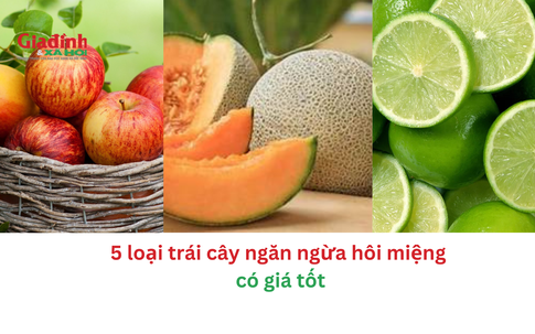 5 loại trái cây ngăn ngừa hôi miệng có giá tốt