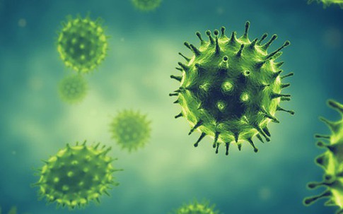 Những điều cần biết về virus cúm A