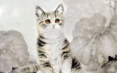 5 con giáp nam có khả năng quản lý tài chính xuất sắc, việc kiếm tiền với họ rất nhẹ nhàng