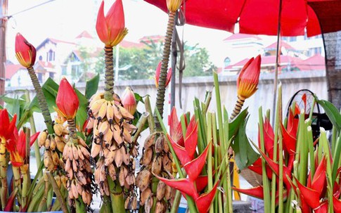 Rộ mùa hoa chuối rừng tại Hà Nội
