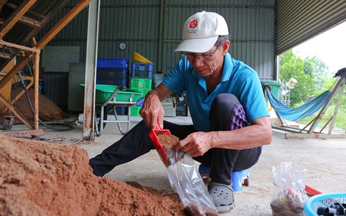 Mạnh dạn bẻ lái trồng loại cây 'không lá', ông nông dân thu lãi 400 triệu/năm rất nhẹ nhàng