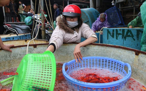 Nhộn nhịp chợ cá Yên Sở trước ngày tiễn ông Công, ông Táo về trời